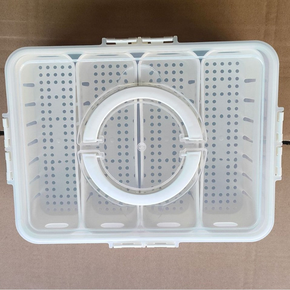 Love Refrigerator Salad Fruit Preservation Box Household Spices Kitchen Storage Box Eight-compartment Sealed Spice Box